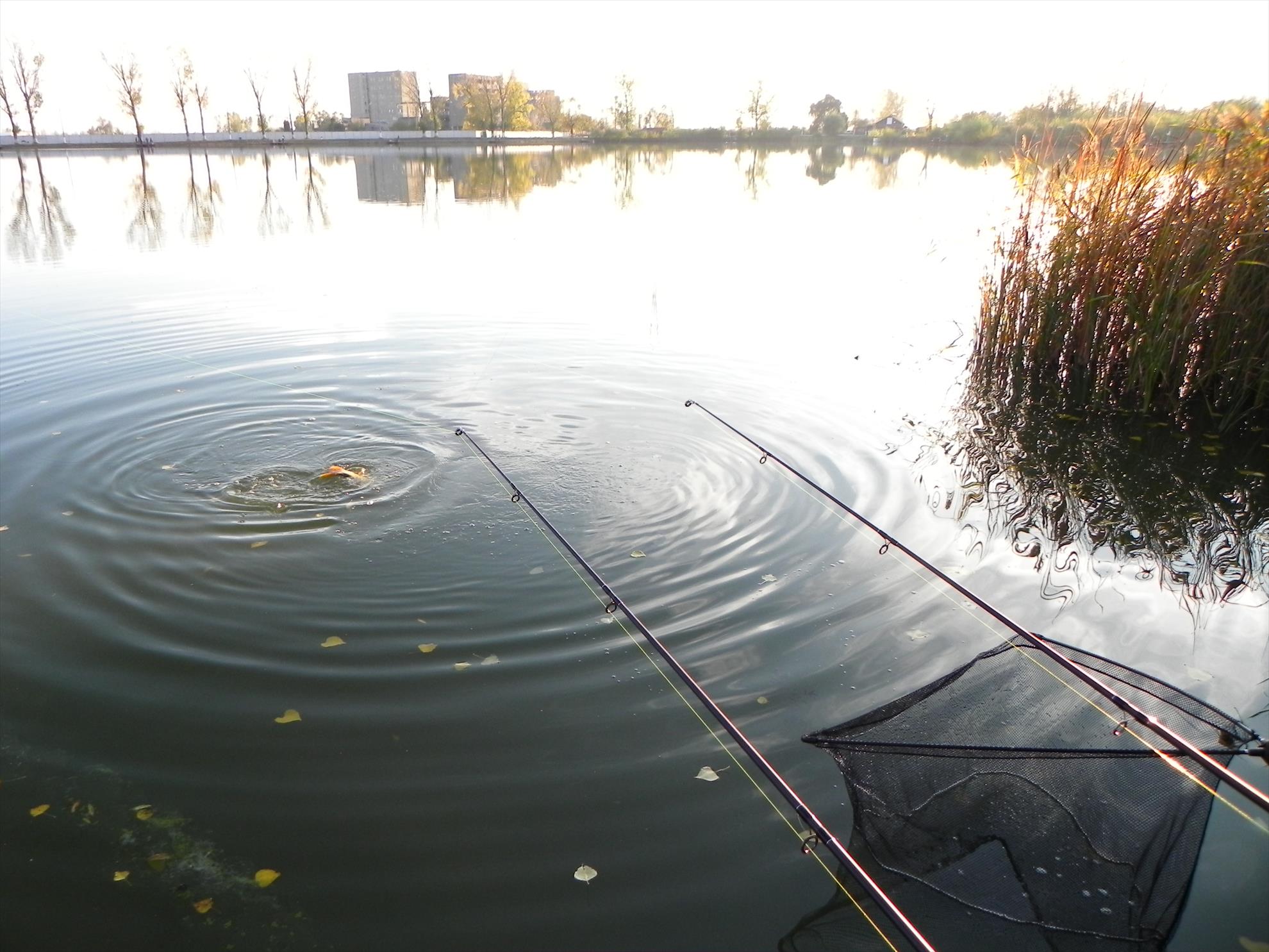 Pleasa 04-11-2012 - dscn3401.JPG